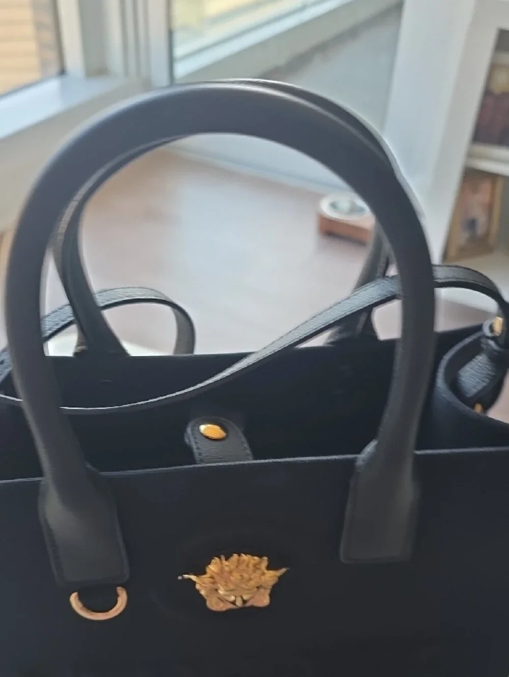 La Medusa Canvas Tote